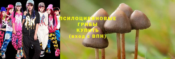 марки lsd Горнозаводск