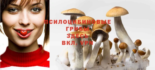 Альфа ПВП Горняк