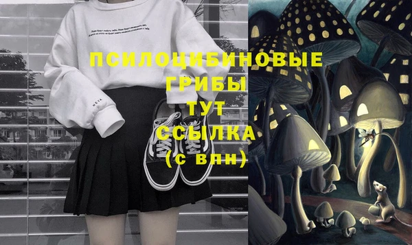 кокс Гусь-Хрустальный